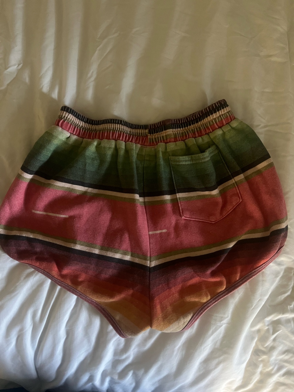Aviator Nation Pink and Green Stripe Women’s Shorts - Picture 4 of 5